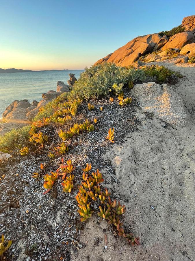 Yucca Leilighet Olbia Eksteriør bilde