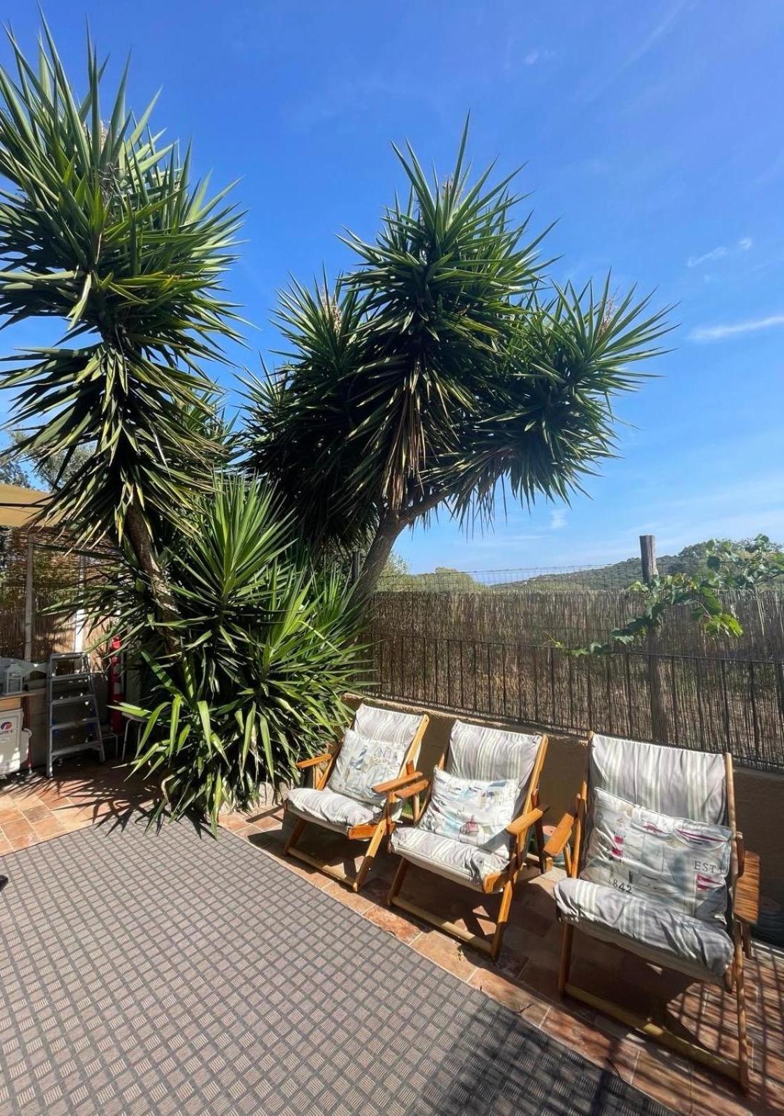 Yucca Leilighet Olbia Eksteriør bilde